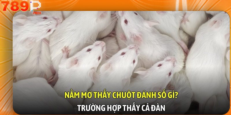 Nằm mơ thấy chuột đánh số gì? Trường hợp thấy bẫy giết nó