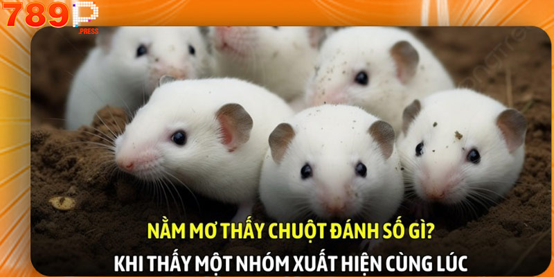 Nằm mơ thấy chuột đánh số gì? Khi thấy một nhóm xuất hiện cùng lúc
